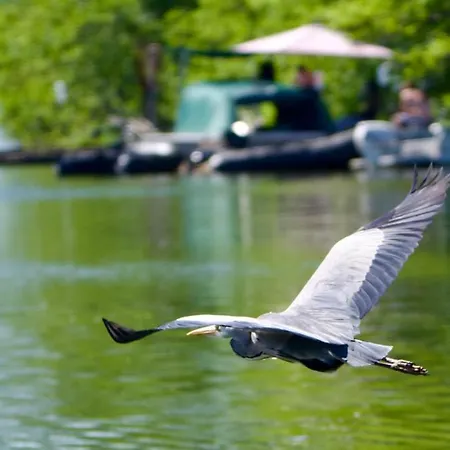 Kwatera prywatna La Rive, River Le Temple-sur-Lot