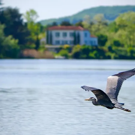 La Rive, River Kwatera prywatna Le Temple-sur-Lot