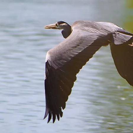 La Rive, River Kwatera prywatna *
