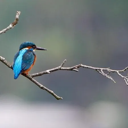 La Rive, River Kwatera prywatna