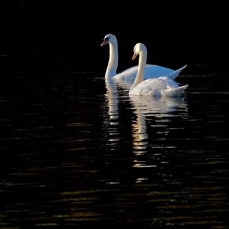 La Rive, River Le Temple-sur-Lot