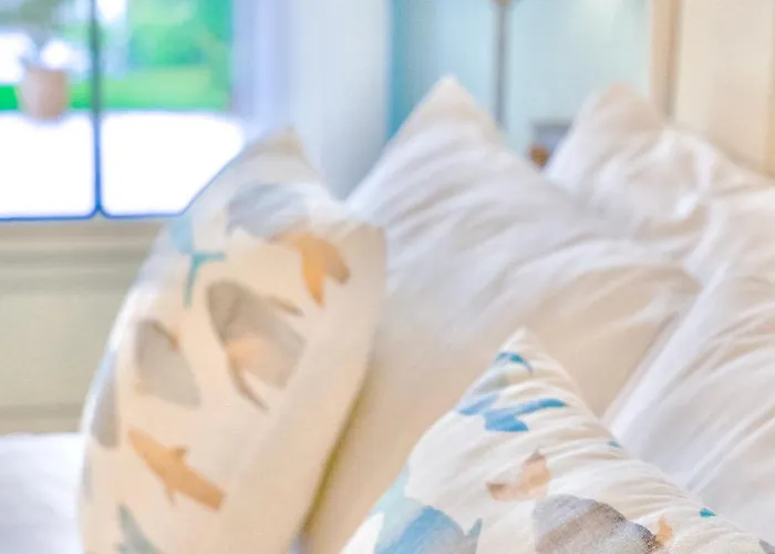 La Rive, River * Le Temple-sur-Lot