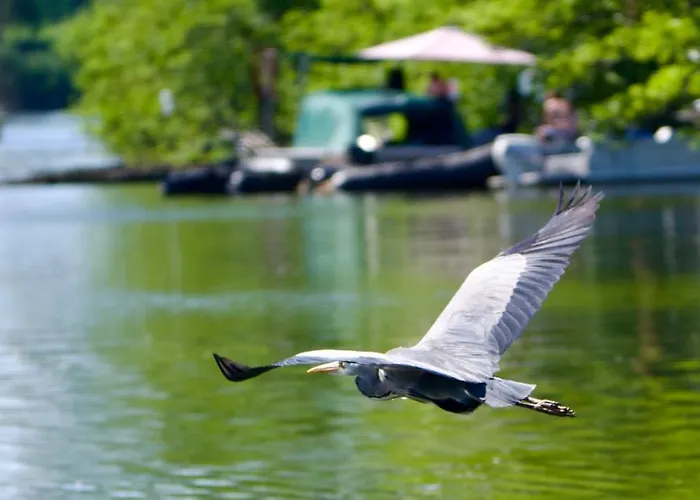 Δωμάτια σε οικογενειακή κατοικία La Rive, River Le Temple-sur-Lot