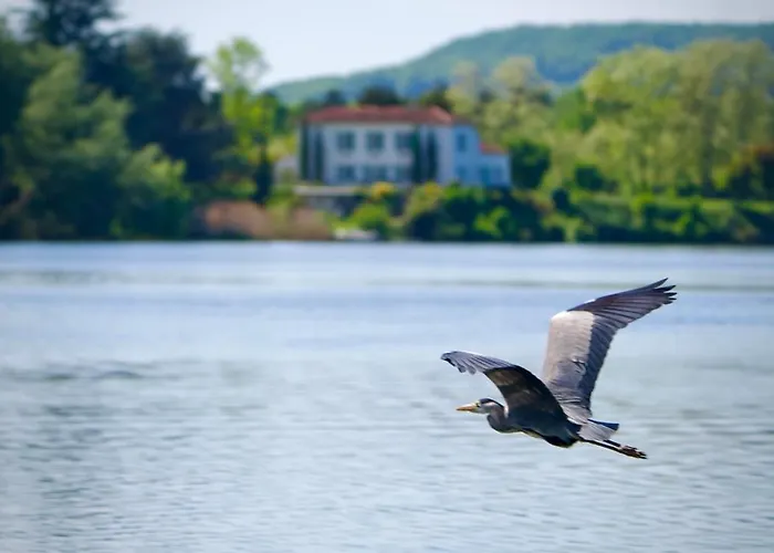 La Rive, River Δωμάτια σε οικογενειακή κατοικία Le Temple-sur-Lot