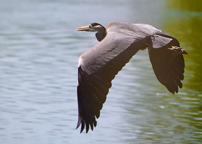 La Rive, River Δωμάτια σε οικογενειακή κατοικία *