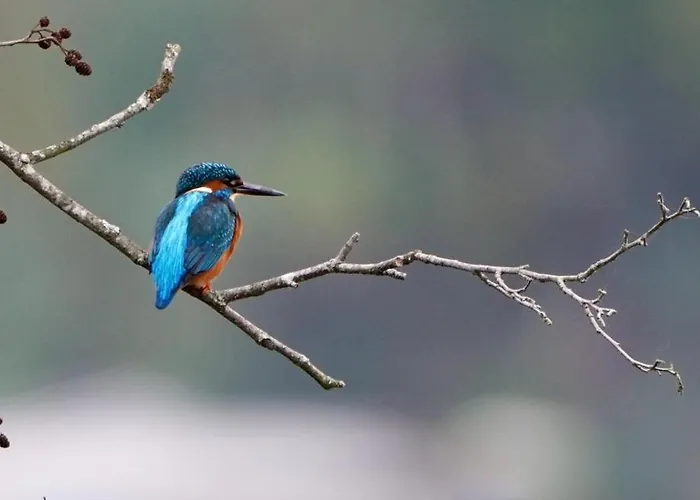 La Rive, River Δωμάτια σε οικογενειακή κατοικία